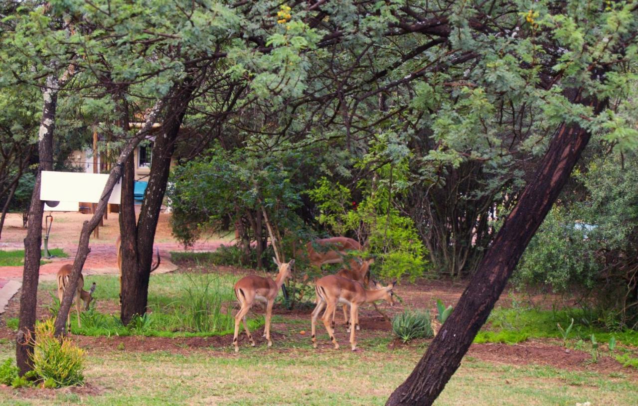 Suzie'S Loft - Nude - Suneden Family Naturist Resort Pretoria-Noord Dış mekan fotoğraf